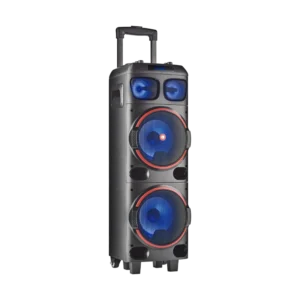 Speaker BT Portable NGS Wild Dub 1 300W 8 Woofer